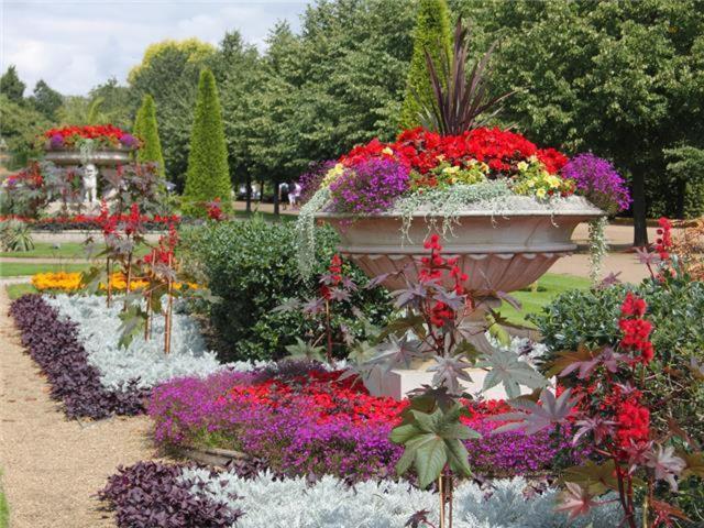 Regents Park Central Appartamento